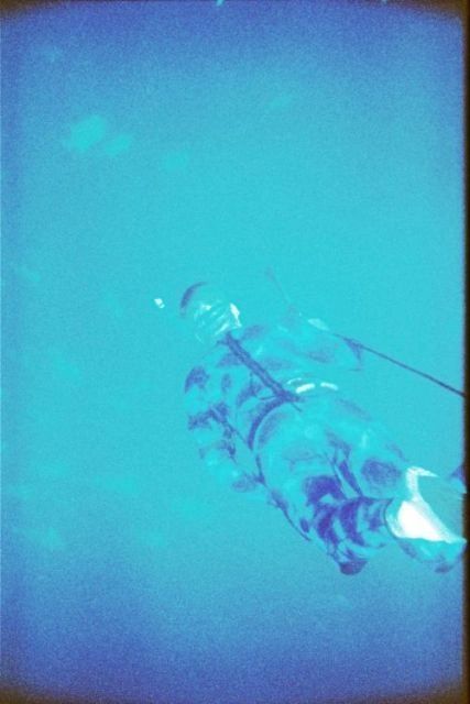 disk_2_095.jpg