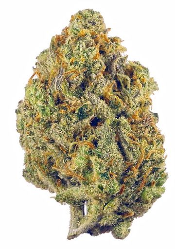 DURBAN POISON SATIVA  CANNABIS FLOWER  4 GRAMS WEED