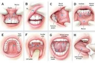Dra. Bianca Zambrana Barrancos. CIRUJANO DENTISTA. Patóloga Bucomaxilofacial.