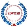 service disabled veteran owned business