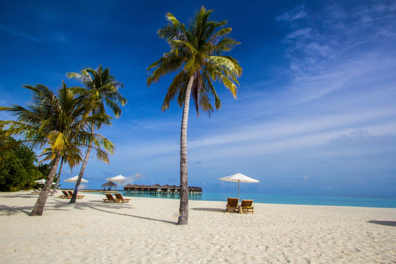 tropical island paradise tropical island paradise
