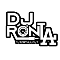 PROFESSIONAL DJ SERVICE 