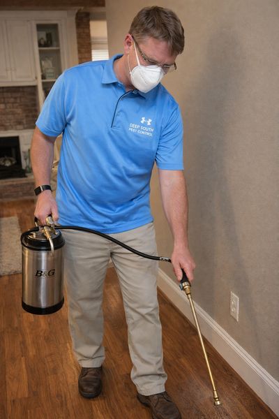 flea treatment Clinton MS