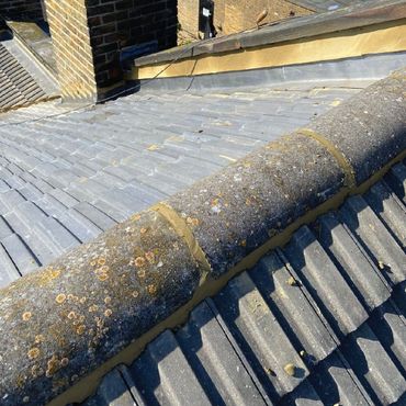 Roof ridge line