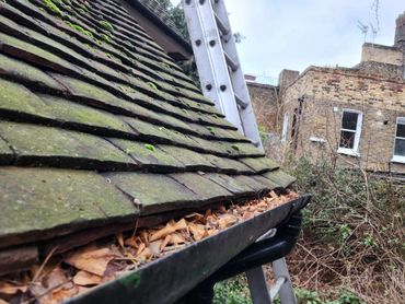 Gutter full of leaves