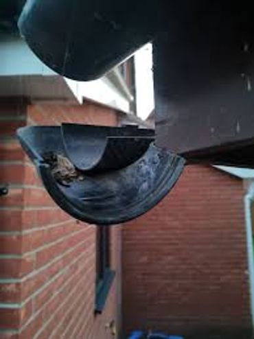 Broken gutter