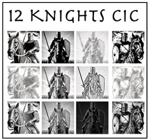 12 knights CIC