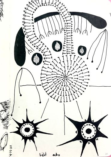 Abstract black and white drawing with circular and spiked patterns.