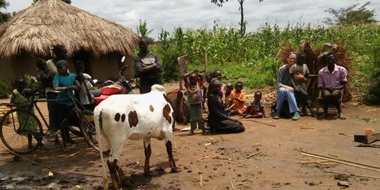 Cow Projects by Care Love and Hope Foundation