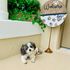 Dog Wood Sign