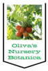 Oliva's Nursery Botanica