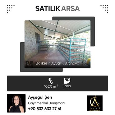 Ayvalık cevizlik iş kurma