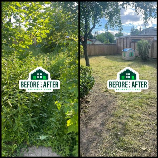 Before and After Property Care Yard Cleanup