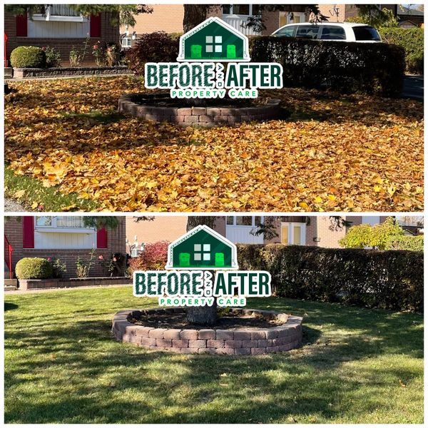 Before and After Property Care Fall Cleanup