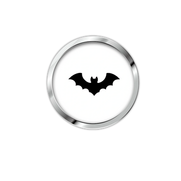 Gestion et contrôle des Chauve-Souris , Travaux d'exclusion de votre propriété .
Travaux spécialisé