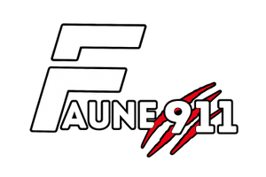 Faune 911