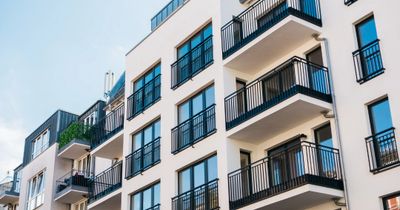 FAUNE 911 - Gestion Parasitaire Multi-Logements – Montréal