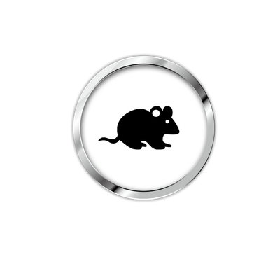 FAUNE 911 - EXTERMINATION DE SOURIS & MULOTS À MONTRÉAL | CALFEUTRAGE ANTI-RONGEUR
