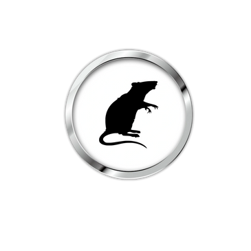 Services d'extermination des rats , contrôle de l'infestation de rats .