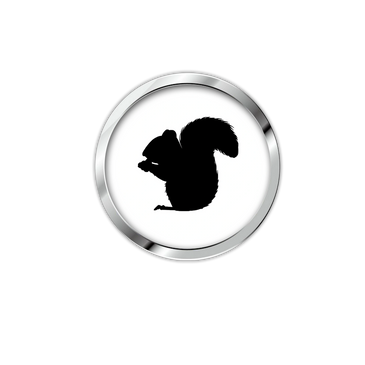 Gestion et contrôle des Écureuils , travaux d'exclusion de votre propriété .
Travaux spécialisé