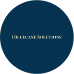 Bluecane Technology Solutions