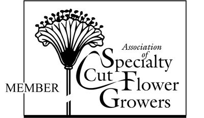 Member of the ASCFG.