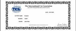 European Maine Coon Cattery

TICA Registered 