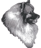 RICKEES KEESHONDEN.... PLACING HAPPY DOGS IN LOVING H0MES 