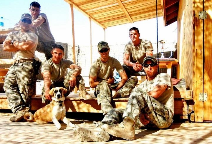 Soldiers enter homes of extended 'Ajlouni family with dogs