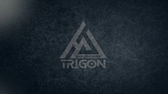 Trigon Cryptosecurity