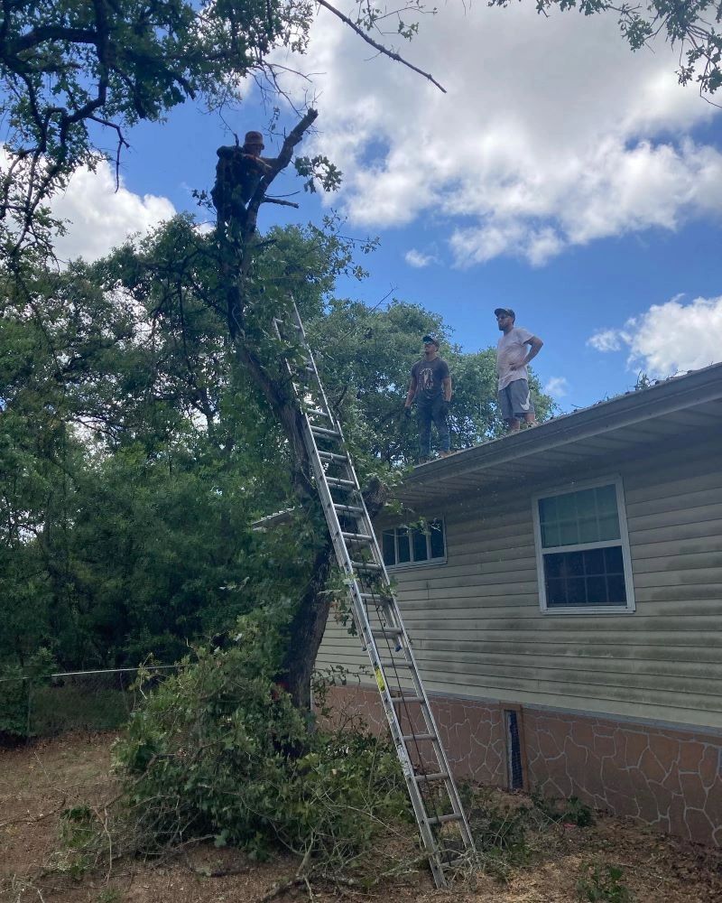 Tree Removal in Lockhart Texas