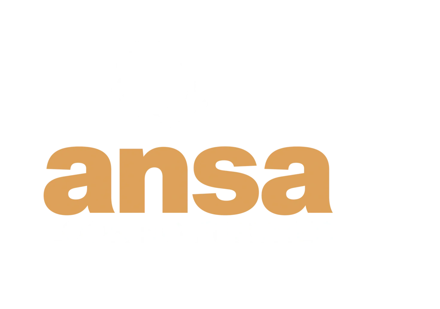 ANSA TECHNOLOGIES PTY LTD