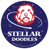 Stellar Doodles