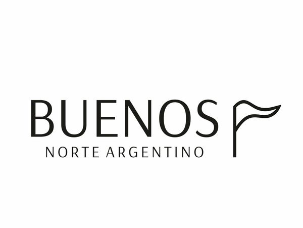 Logo with text 'Buenos Norte Argentino' and a minimalist flag icon.
