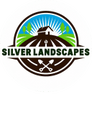 Silver Landscapes