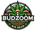Bud Zoom Delivery