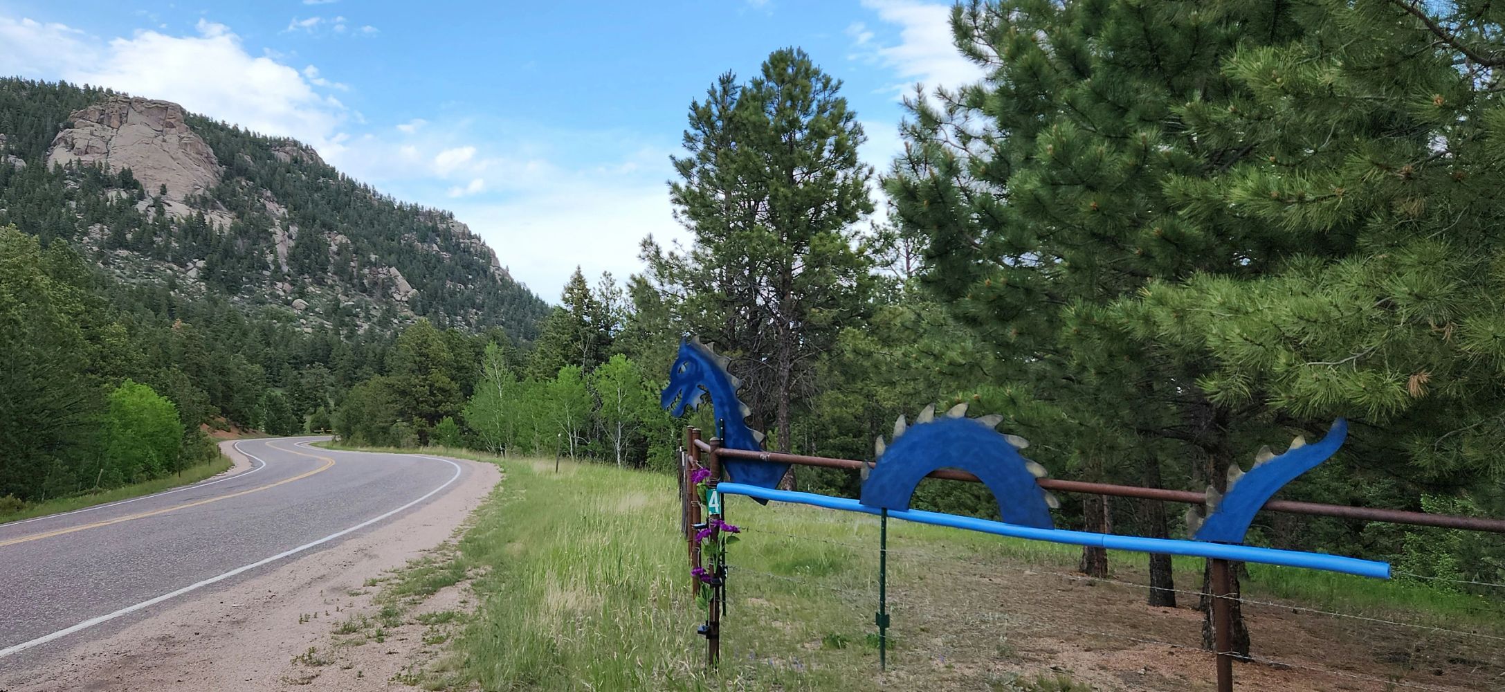 Little Scraggy Mountain and our gate mascot. 
