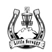 Little Scraggy Disc Golf