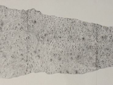 Grey Area I
Graphite on paper, 89.5x42cm, 2026