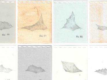 A hundred ways to pitch a tent
Graphite on paper, 4 x 4 7/8 in each, 2025