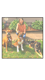ABC K9 Communication, LLC