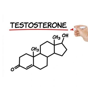 The best all natural transgender transitioning supplement alternatives for MTF & FTM
