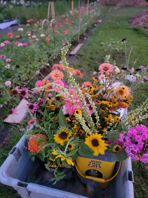 A colorful bouquet of fresh flowers in a yellow container outdoors.