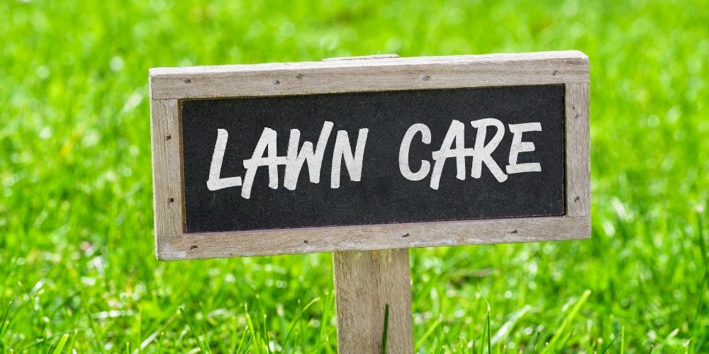 Lawn Care, Perfect Lawn, Aeration, Aerating, Grass Care, Scarification, Fertilizer, Grass Seed