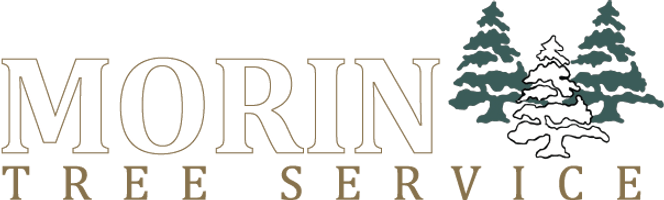 Morin Tree Service LLC