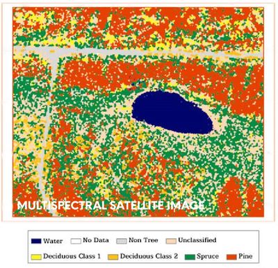 A Satellite Image in Color in Red yellow and Blue Color