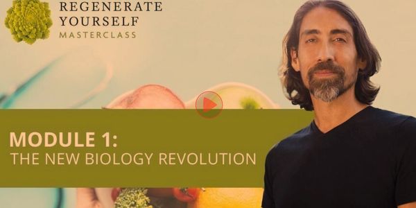 Sayer Ji's masterclass REGENERATE YOURSELF, module 1. 