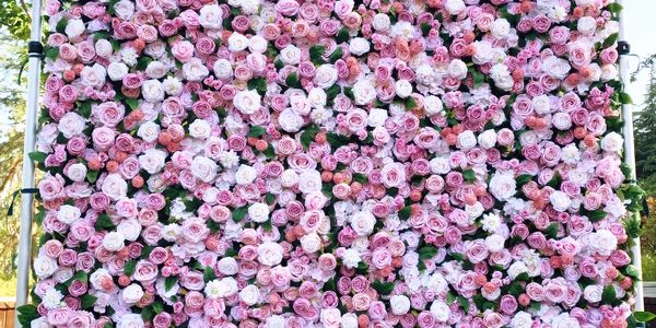 Pink and white flower wall
