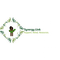 Synergy Link