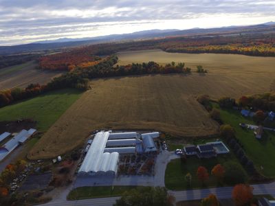 H & B Greenhouse & Nursery - Garden Center, Plants